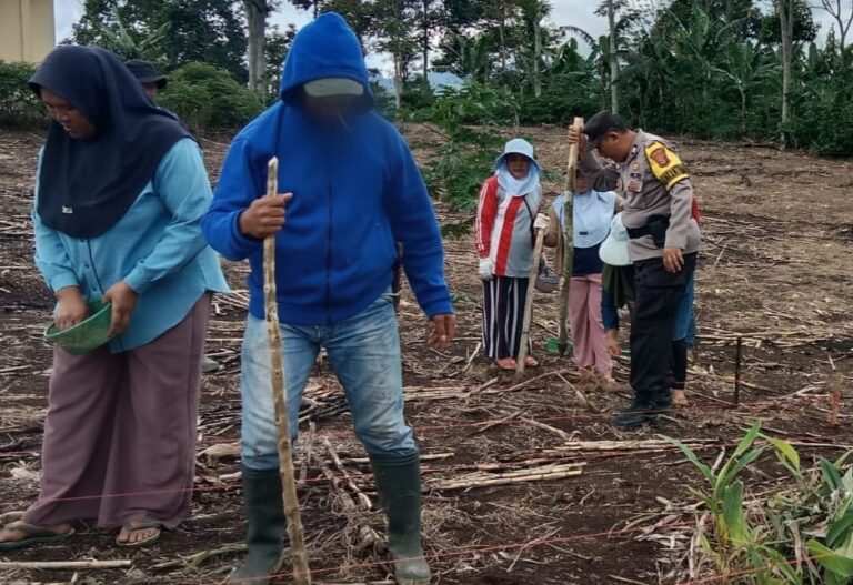 Ketahanan Pangan Polri, Bhabinkamtibmas Bantu Warga Lakukan Penanaman Jagung