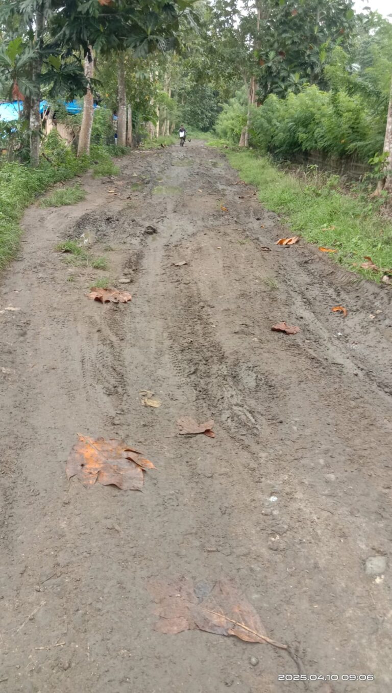 Warga Desa Batu Putih, Memohon Kepada Pemerintah Kab. Maros Untuk Perbaikan Jalan Di Dua Dusun