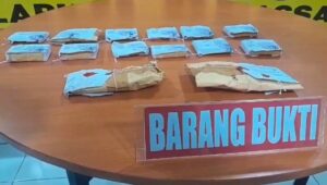 Satresnarkoba Polres Pelabuhan Tangkap 111 Orang Pengguna Narkoba Satresnarkoba Polres Pelabuhan Tangkap 111 Orang Pengguna Narkoba
